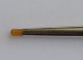 BR10 - Proline Brush