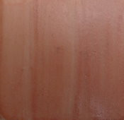 133D Coral Rose