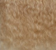 Ash Blonde