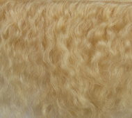 Honey Blonde