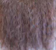 Medium Brown