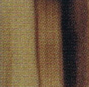 081D Honey Blonde
