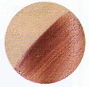 019G BT #1 Creamy Rose