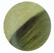 039G Dark Advocado